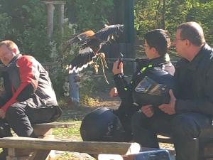 10 Odenwald 2018