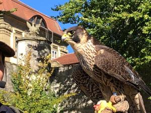 12 Odenwald 2018