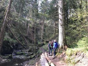 54 Schwarzwald 19